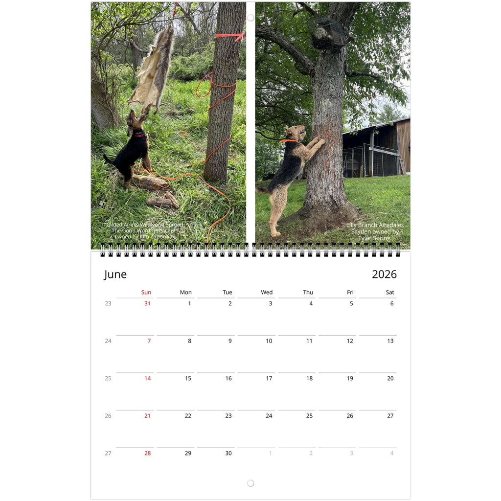 19075167-7166-4ee8-858b-0bc480784287