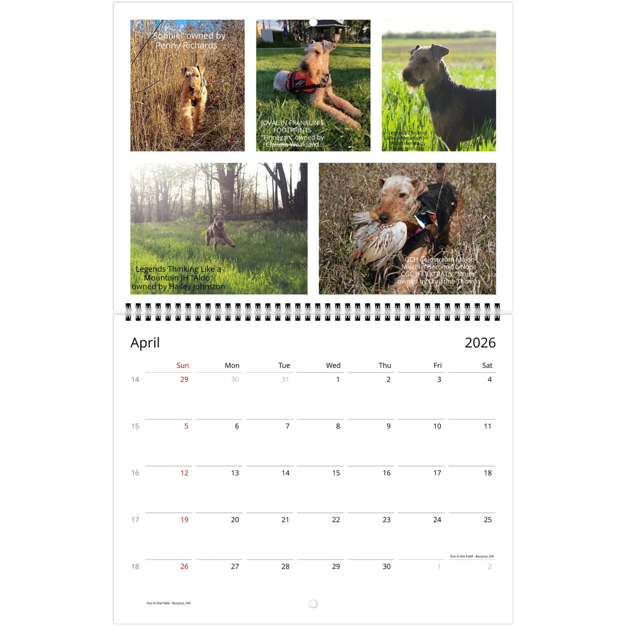 24058718-fde7-42f5-908e-bf00b4b34c8b