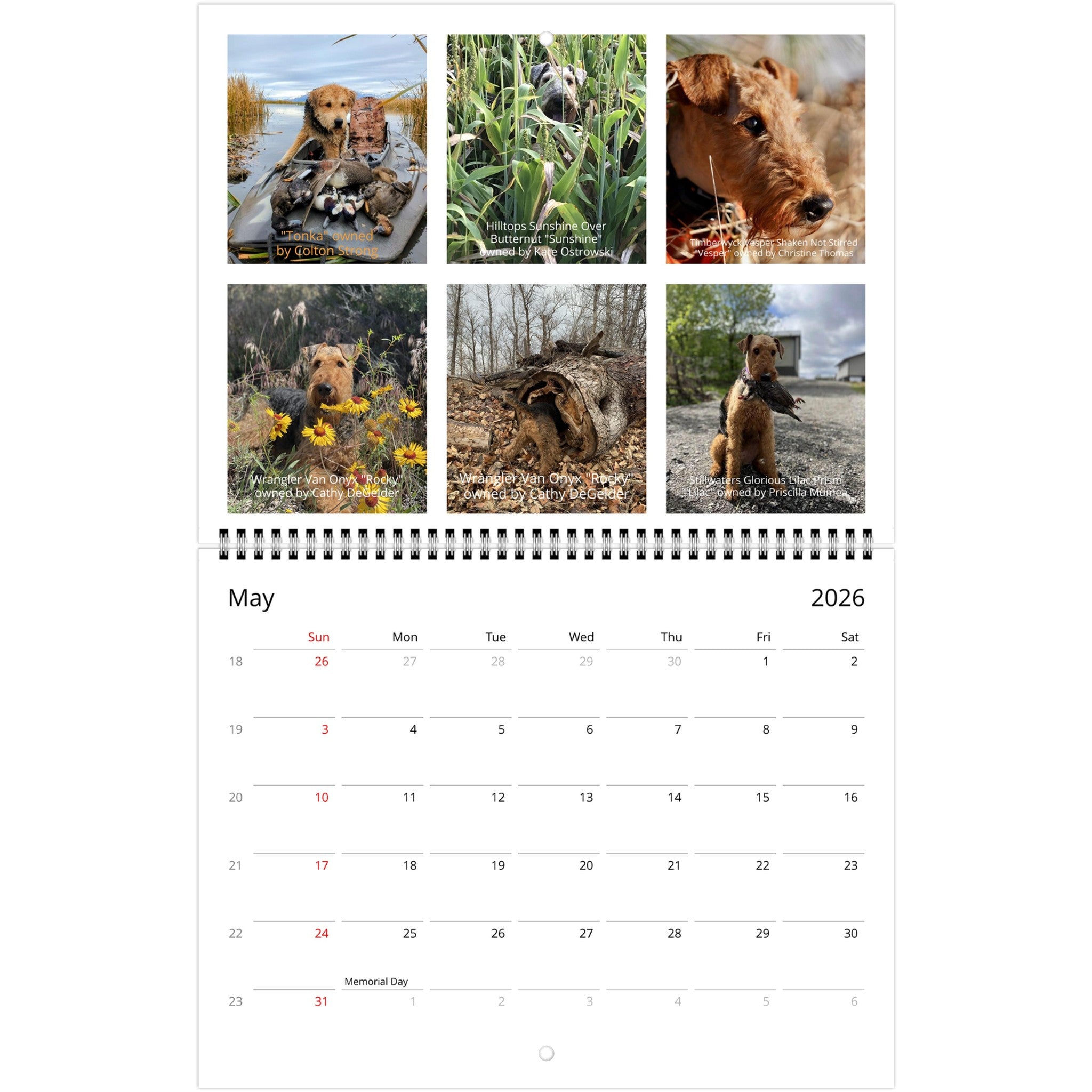 61b1943c-348e-4f5b-9241-14d26d120f72