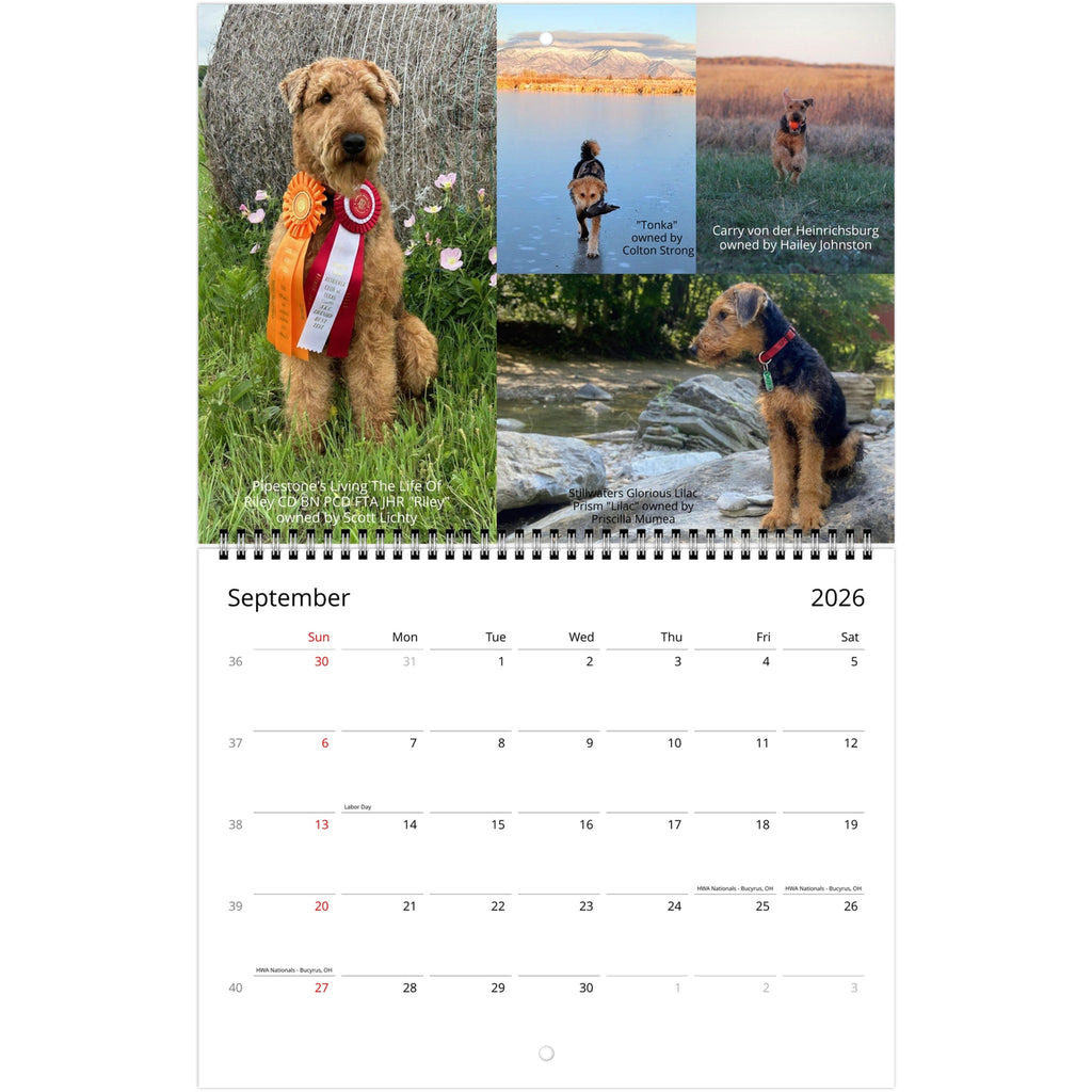 97b677f2-249d-48f5-972e-b89458c3a3eb