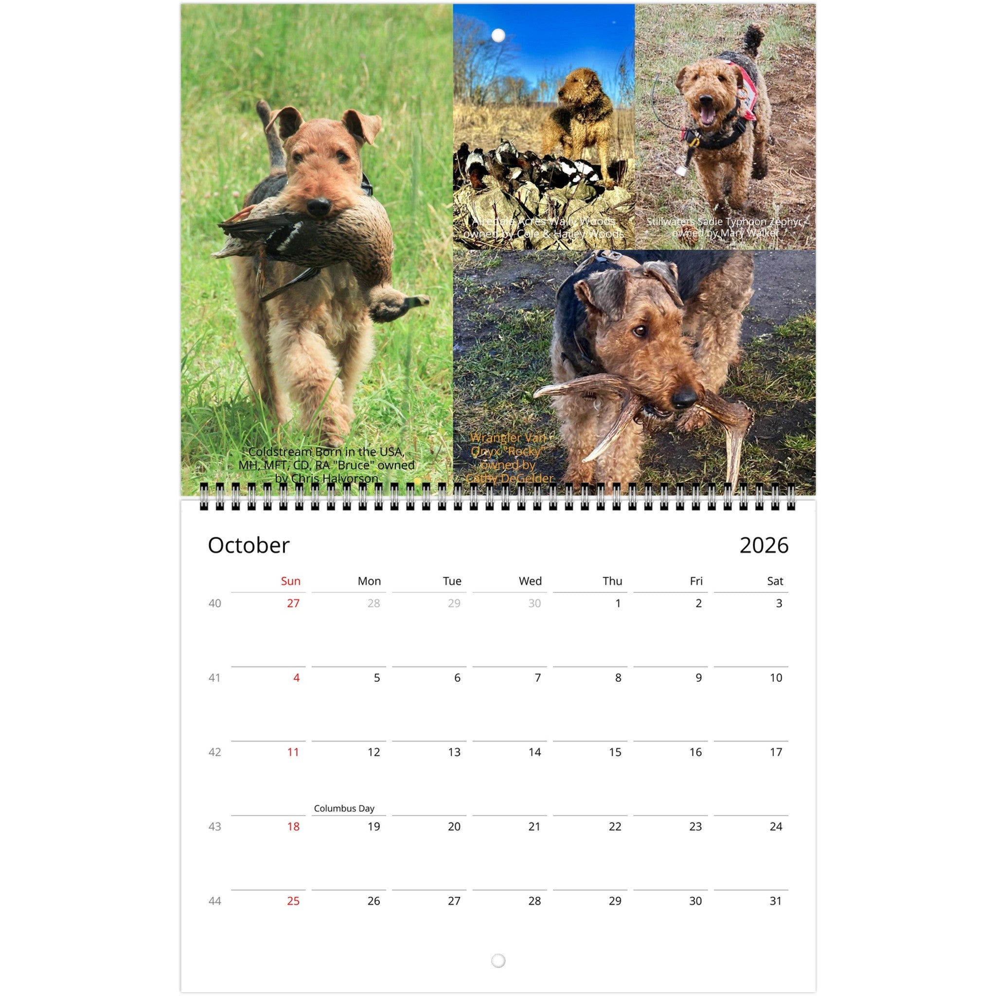 ac01a63b-2381-4a78-8b14-75a379b8cc4e