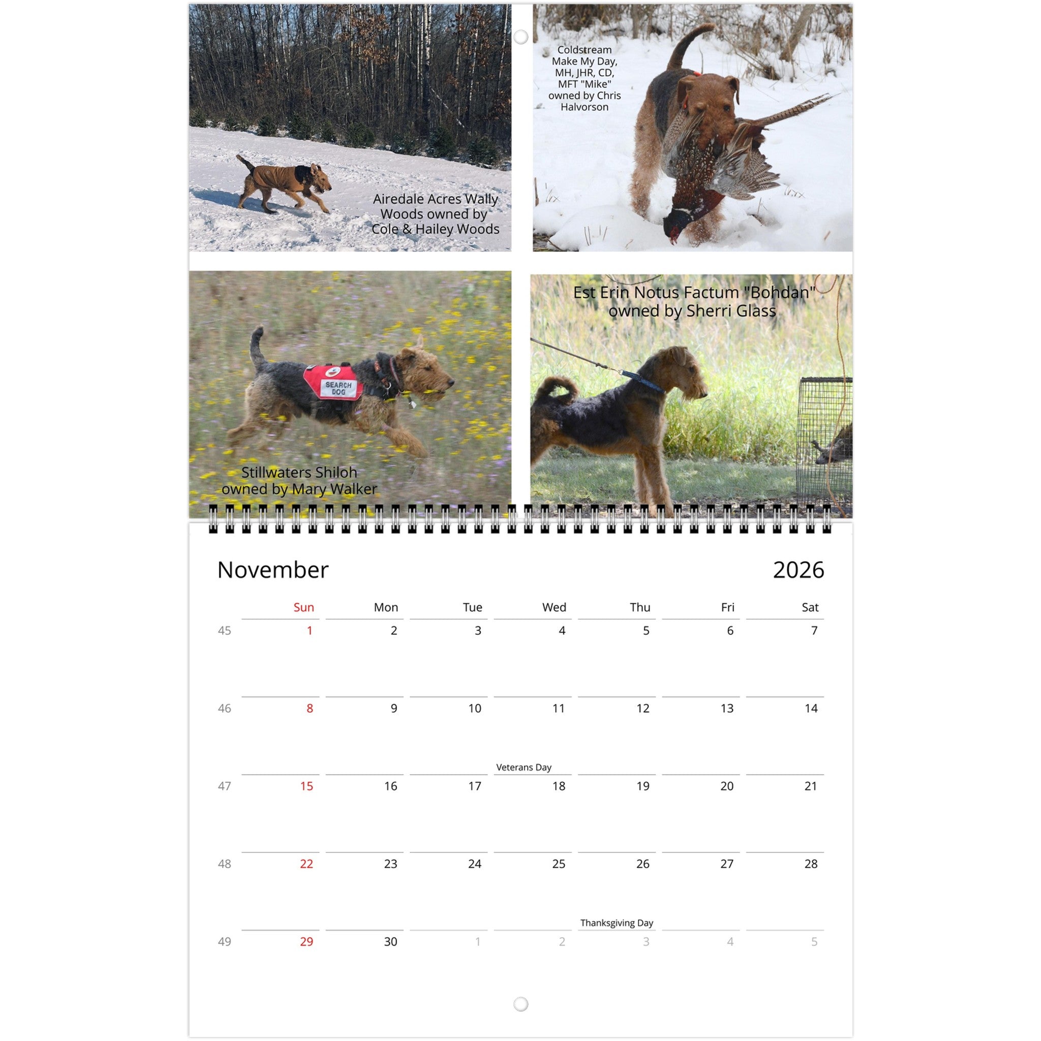 afcedd78-0c4b-423b-955e-ad815be661ba