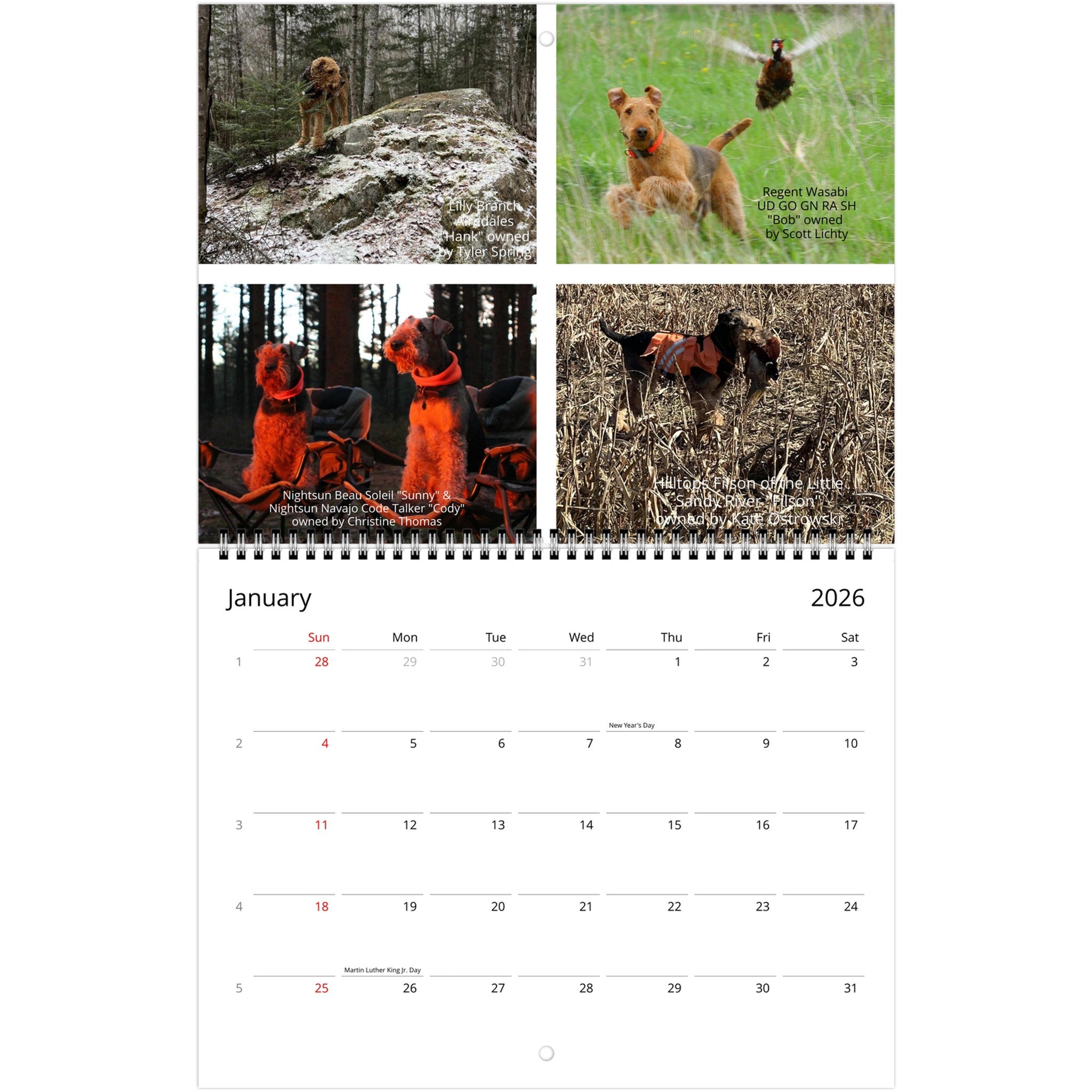 cb4b7a7c-3f3a-4cb0-81cd-fb41b89a903c