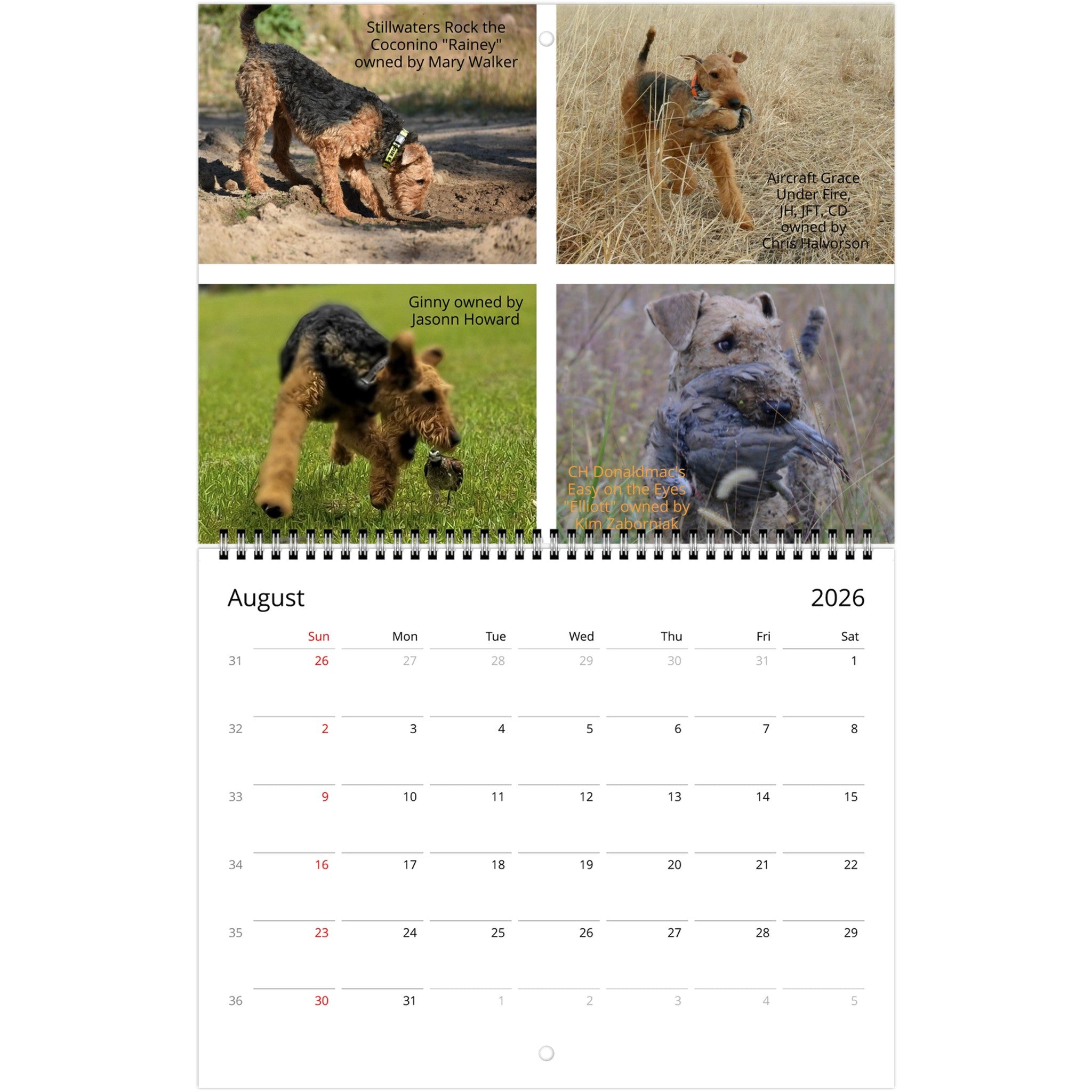 d3e63656-8f1c-41d8-b2fc-5402ec2ac10c